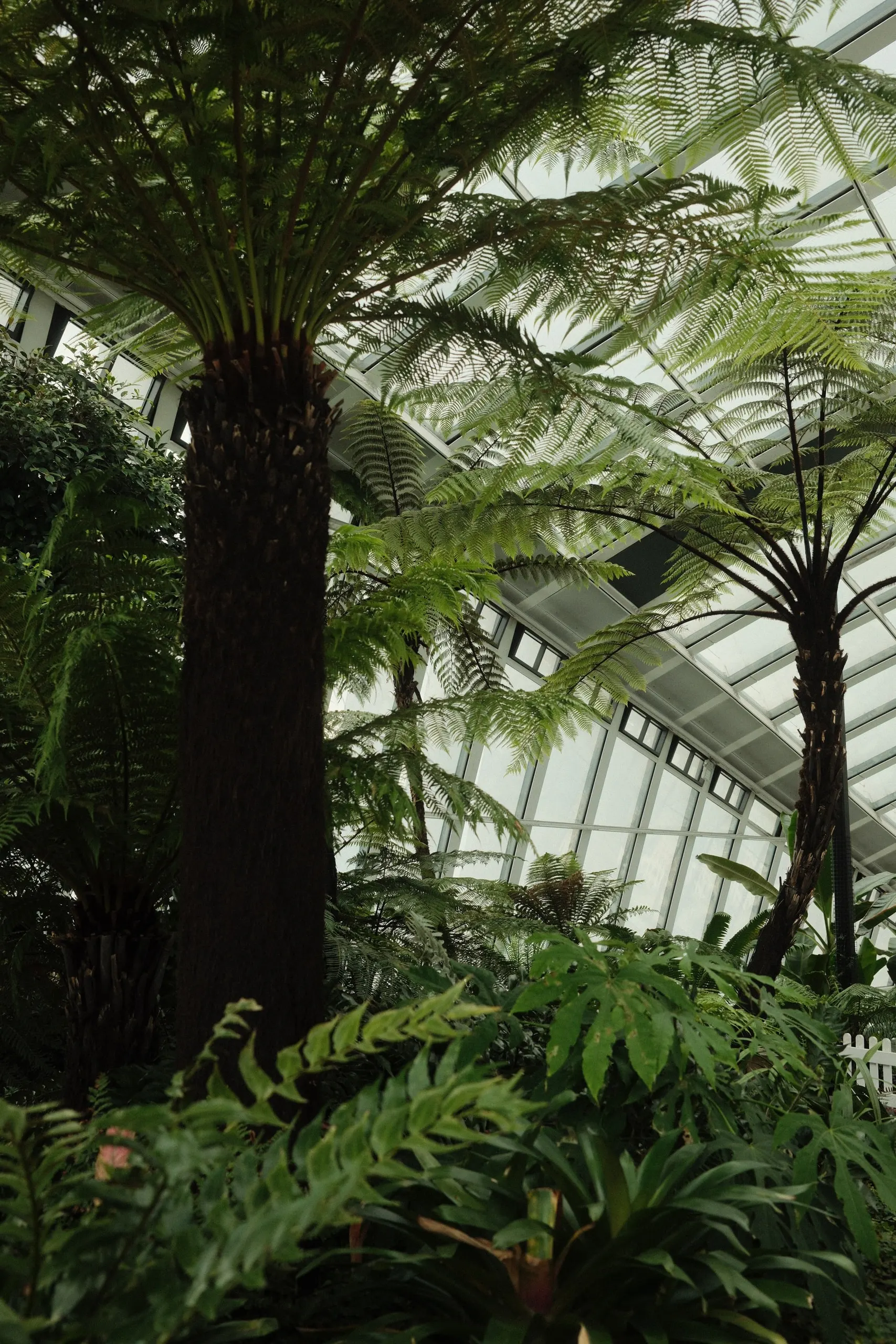 Photo from 2025